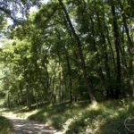 Kláštor Katarínka